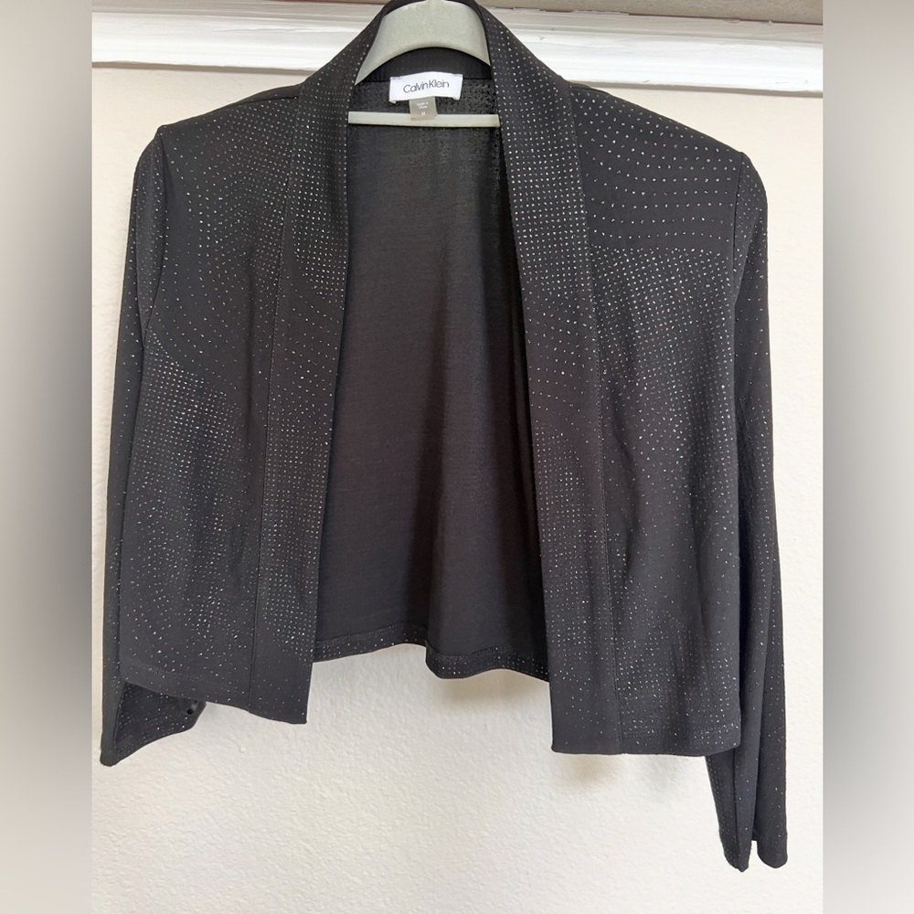 Sparkly Calvin Klein Pull Over